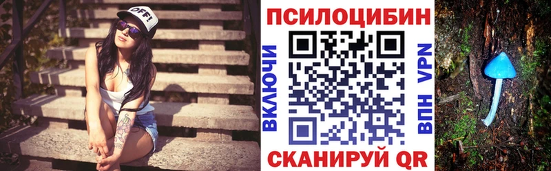 Купить  Городец  Псилоцибиновые грибы GOLDEN TEACHER 